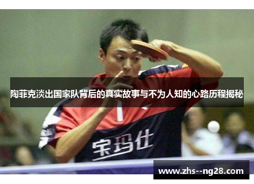 陶菲克淡出国家队背后的真实故事与不为人知的心路历程揭秘