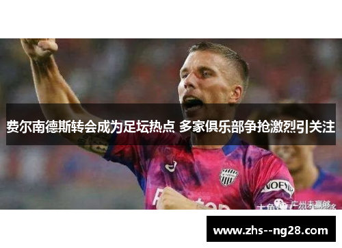 费尔南德斯转会成为足坛热点 多家俱乐部争抢激烈引关注 费尔南德斯转会成为足坛热点 多家俱乐部争抢激烈引关注