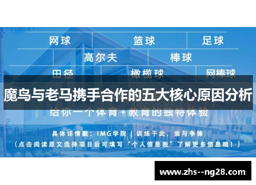 魔鸟与老马携手合作的五大核心原因分析