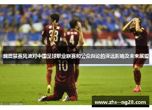 魏震禁赛风波对中国足球职业联赛和公众舆论的深远影响及未来展望